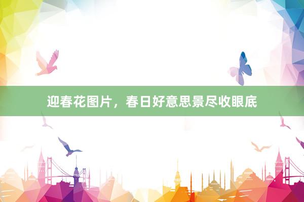 迎春花图片，春日好意思景尽收眼底